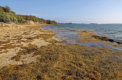 299 Vacances sur l'ile aux Moines - IMG_9866_DxO Pbase.jpg
