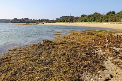 301 Vacances sur l'ile aux Moines - IMG_9867_DxO Pbase.jpg