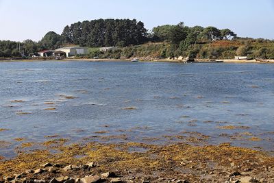 302 Vacances sur l'ile aux Moines - IMG_9868_DxO Pbase.jpg
