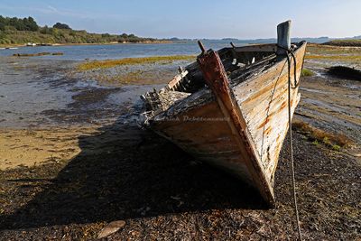 311 Vacances sur l'ile aux Moines - IMG_9874_DxO Pbase.jpg