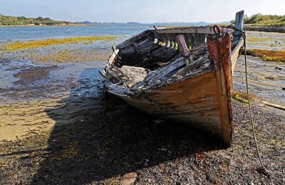 313 Vacances sur l'ile aux Moines - IMG_9876_DxO Pbase.jpg