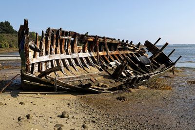 317 Vacances sur l'ile aux Moines - IMG_9878_DxO Pbase.jpg