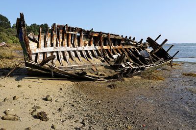 319 Vacances sur l'ile aux Moines - IMG_9880_DxO Pbase.jpg