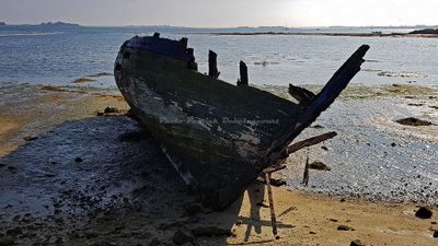 322 Vacances sur l'ile aux Moines - 2079F1~1_DxO Pbase.jpg