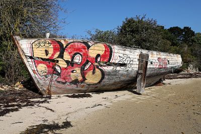 325 Vacances sur l'ile aux Moines - IMG_9884_DxO Pbase.jpg