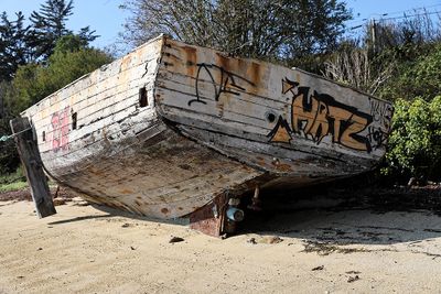 331 Vacances sur l'ile aux Moines - IMG_9891_DxO Pbase.jpg