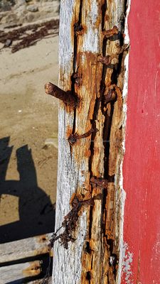 341 Vacances sur l'ile aux Moines - 20992E~1_DxO Pbase.jpg