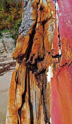 342 Vacances sur l'ile aux Moines - 20FF78~1_DxO Pbase.jpg