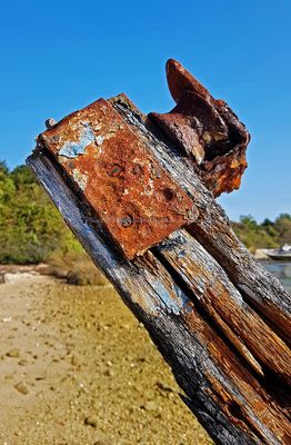 344 Vacances sur l'ile aux Moines - 2032BA~1_DxO Pbase.jpg