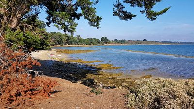 369 Vacances sur l'ile aux Moines - 207093~1_DxO Pbase.jpg