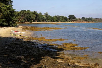 370 Vacances sur l'ile aux Moines - IMG_9911_DxO Pbase.jpg