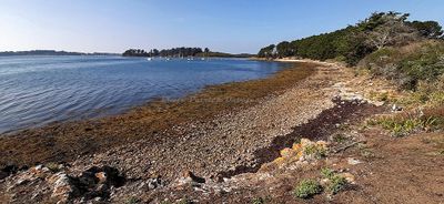373 Vacances sur l'ile aux Moines - 203162~1_DxO Pbase.jpg