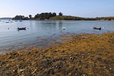 376 Vacances sur l'ile aux Moines - IMG_9916_DxO Pbase.jpg