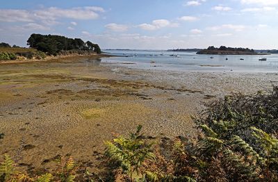 378 Vacances sur l'ile aux Moines - IMG_9917_DxO Pbase.jpg