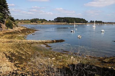 381 Vacances sur l'ile aux Moines - IMG_9918_DxO Pbase.jpg