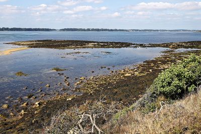 382 Vacances sur l'ile aux Moines - IMG_9919_DxO Pbase.jpg