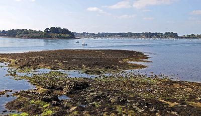 383 Vacances sur l'ile aux Moines - IMG_9920_DxO Pbase.jpg