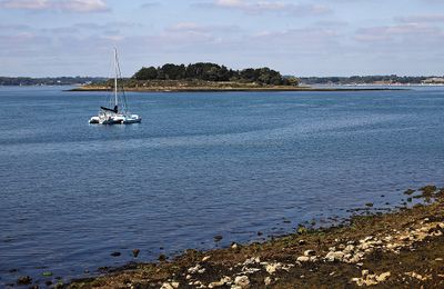 385 Vacances sur l'ile aux Moines - IMG_9923_DxO Pbase.jpg