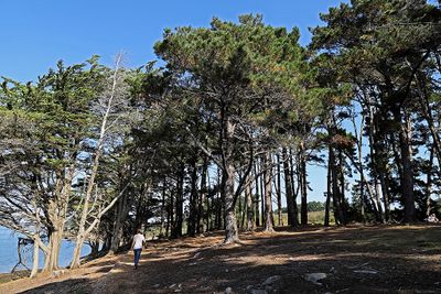 386 Vacances sur l'ile aux Moines - IMG_9924_DxO Pbase.jpg