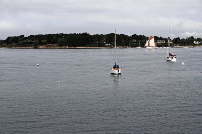 420 Vacances sur l'ile aux Moines - IMG_9946_DxO Pbase.jpg