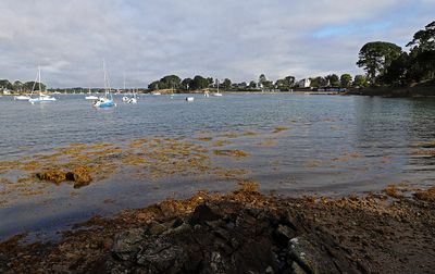 435 Vacances sur l'ile aux Moines - IMG_9958_DxO Pbase.jpg