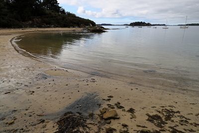 449 Vacances sur l'ile aux Moines - IMG_9969_DxO Pbase.jpg