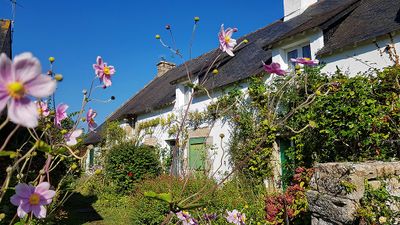 45 Vacances sur l'ile aux Moines - 200FAE~1_DxO Pbase.jpg