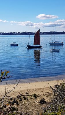 466 Vacances sur l'ile aux Moines - 20B93C~1_DxO Pbase.jpg