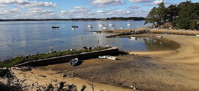468 Vacances sur l'ile aux Moines - 20E6E4~1_DxO Pbase.jpg