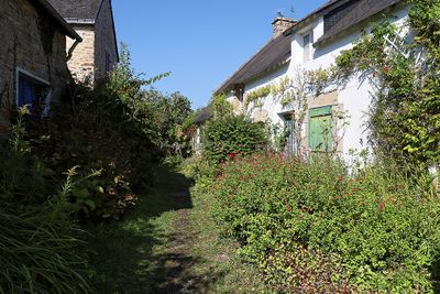 51 Vacances sur l'ile aux Moines - IMG_9714_DxO Pbase.jpg