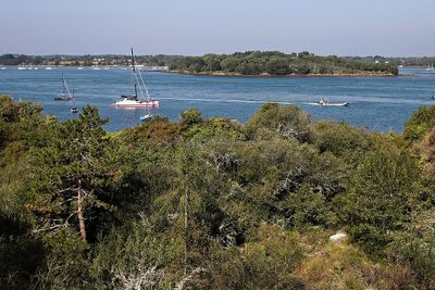 58 Vacances sur l'ile aux Moines - IMG_9722_DxO Pbase.jpg