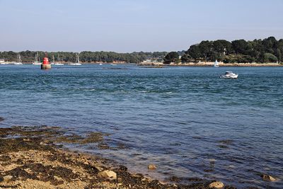 70 Vacances sur l'ile aux Moines - IMG_9732_DxO Pbase.jpg
