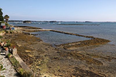 76 Vacances sur l'ile aux Moines - IMG_9737_DxO Pbase.jpg