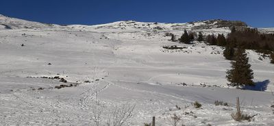137 Vacances dans le Cantal - 20595F~1 optimise Pbase.jpg