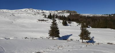 138 Vacances dans le Cantal - 205499~1 optimise Pbase.jpg