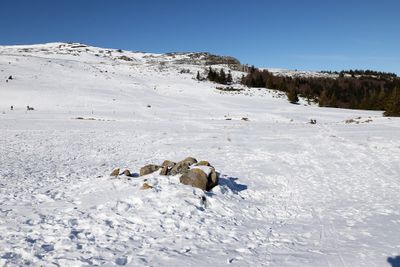 141 Vacances dans le Cantal - IMG_1816 optimise Pbase.jpg