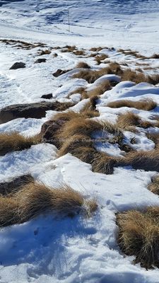 178 Vacances dans le Cantal - 20570D~1 optimise Pbase.jpg