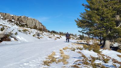 179 Vacances dans le Cantal - 204177~1 optimise Pbase.jpg