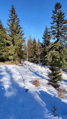 195 Vacances dans le Cantal - 208E1E~1 optimise Pbase.jpg