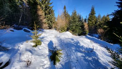 206 Vacances dans le Cantal - 20C995~1 optimise Pbase.jpg