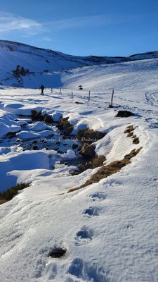 213 Vacances dans le Cantal - 20F5EB~1 optimise Pbase.jpg