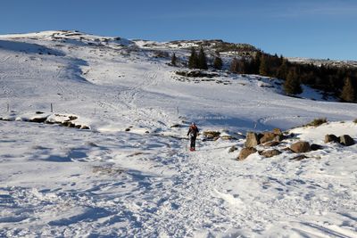 221 Vacances dans le Cantal - IMG_1877 optimise Pbase.jpg