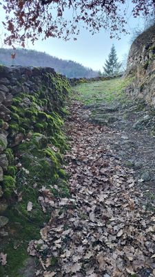 25 Vacances dans le Cantal - 204863~1 optimise Pbase.jpg