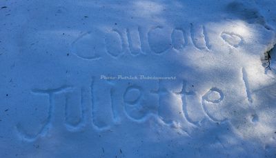 263 Vacances dans le Cantal - 20D2E9~1 optimise Pbase.jpg