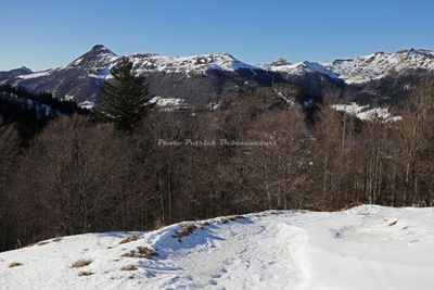 268 Vacances dans le Cantal - IMG_1886 optimise Pbase.jpg