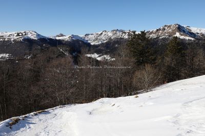 273 Vacances dans le Cantal - IMG_1890 optimise Pbase.jpg