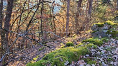 32 Vacances dans le Cantal - 2061CC~1 optimise Pbase.jpg