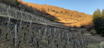 34 Vacances dans le Cantal - 20F8C5~1 optimise Pbase.jpg