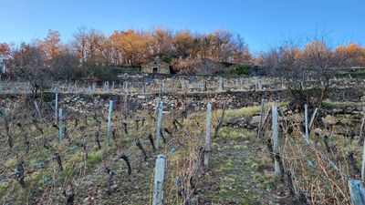 42 Vacances dans le Cantal - 20D39D~1 optimise Pbase.jpg