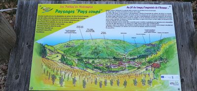 43 Vacances dans le Cantal - 20CAF3~1 optimise Pbase.jpg